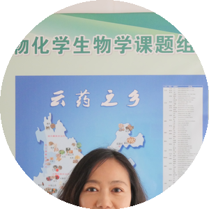 许敏